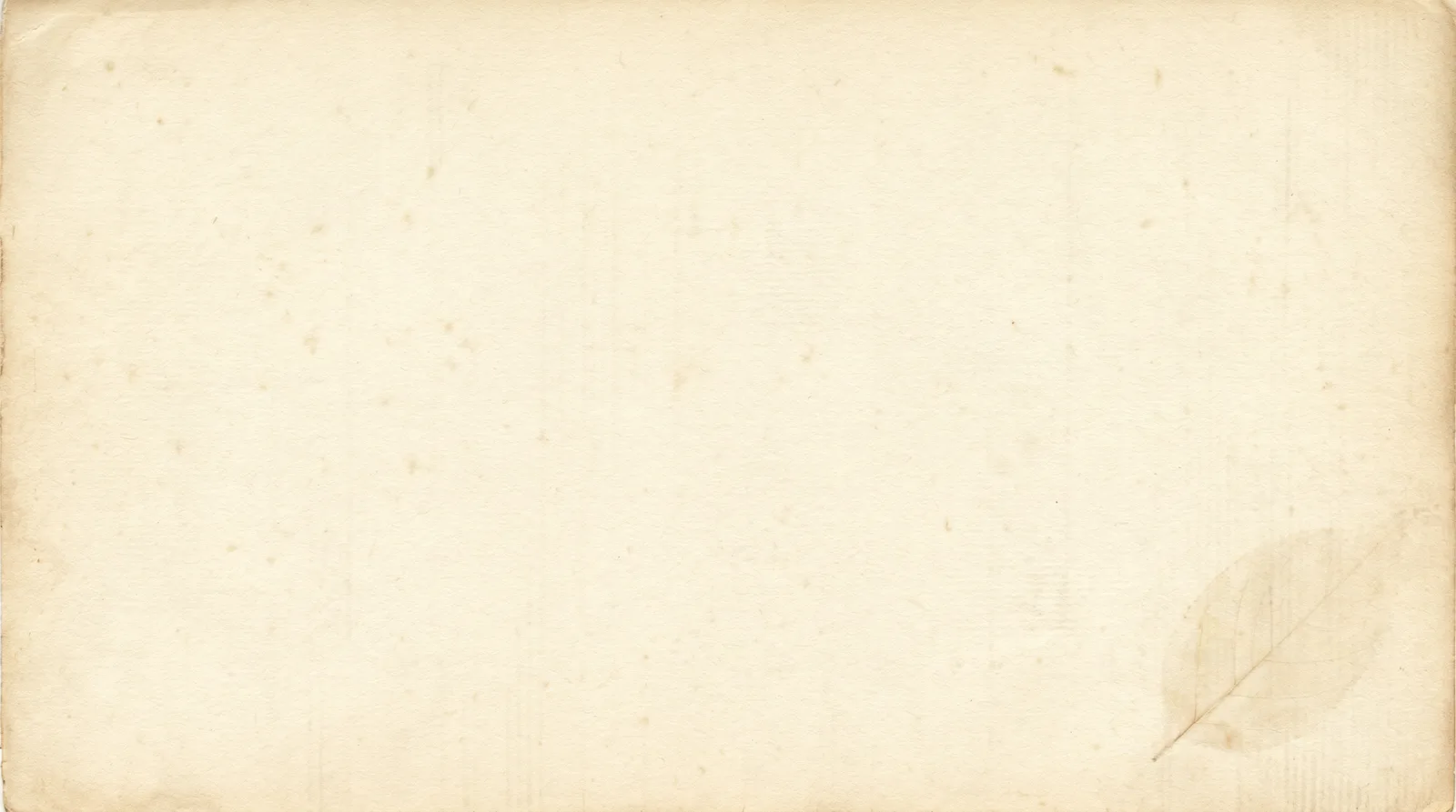 Aged cream paper texture